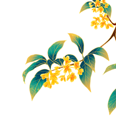 雨雨的星期八采集到桂花