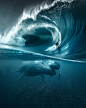 Waves & Whales : Waves & Whales: A series of digital composites joining two unique moments in the ocean. One of adrenalin and motion displayed by the waves and another of calmness and serenity portrayed by the whales underwater. A creative collabo