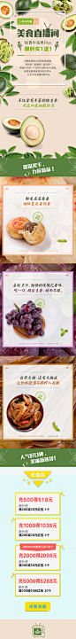 美食直播间 秘鲁牛油果