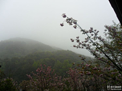 hyoupeng采集到绍兴两日游