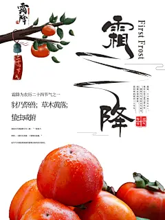 冬季节气霜降二十四节气霜降海报