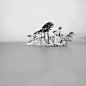 Olivier Robert