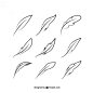 Feather vector file: 