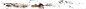 Feature_C_115