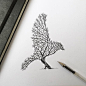 Bird Tree Something so simple can create a bird. a image that you really need to look through it: 