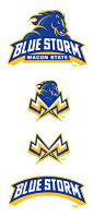 sports logo inspiration