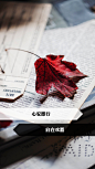 花语