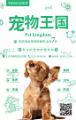 宠物护理活动海报