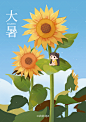 大暑/向日葵