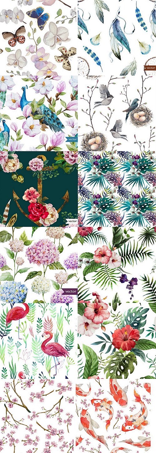 水彩鹦鹉锦鲤紫阳花火烈鸟窝樱花羽毛热带植...