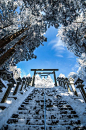 Mt.Kongou, Katsuragi shrine,Nara,Japan。日本奈良葛木神社。在作为大阪府与奈良县交界地的金刚山上(标高1125米)有起源于山岳信仰的葛木神社和转法轮寺。此为葛木神社的阶梯。#美景##唯美# #美图# #风景# #小清新# #治愈系#自然#场景#