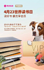 超级美工