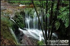 蜀南竹海,阴雨绵绵走蜀南