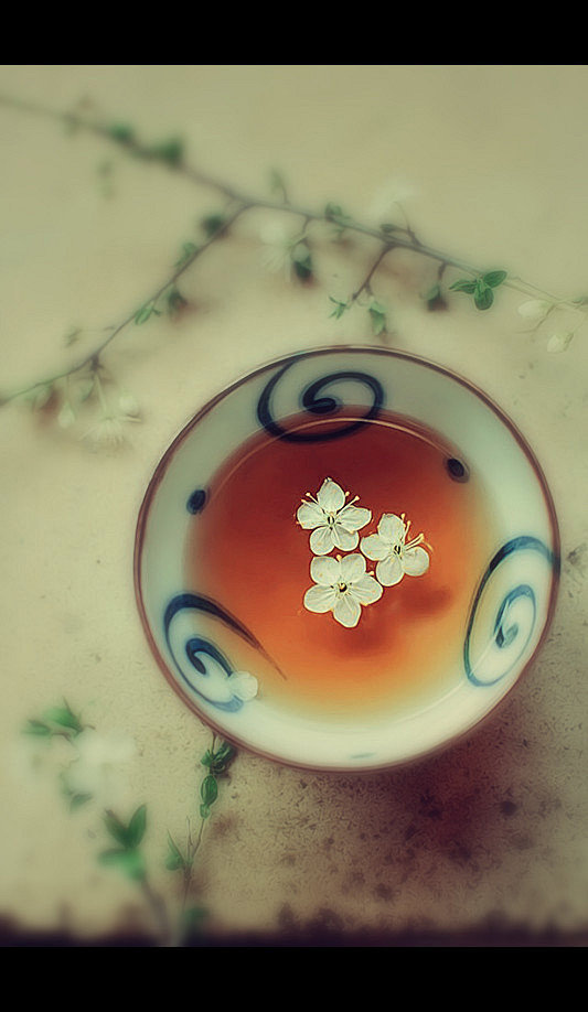 这个人曾在心上驻扎过
