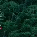 以安静轻盈姿态，赴约自然丨贵阳融创·云麓长林 : 山林的诗意激发出对回归生活的想象与憧憬。