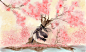 花哥