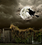 Midnight run at Halloween by *LadyCarnal | SUN AND MOON