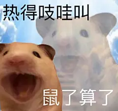 表情包