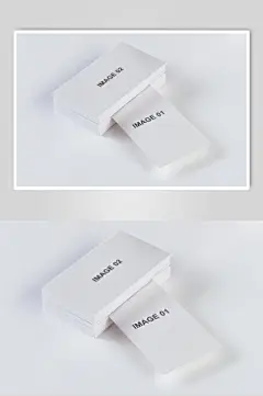 英文立体留白方形简约风名片样机