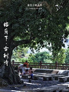 Alison_Lee采集到自然乡村酒店\振兴