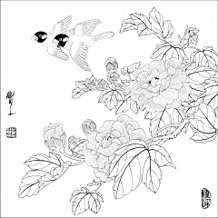 ゜Spallation、采集到白描