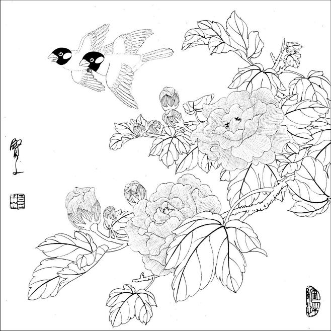 白描花鸟线稿