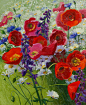 Shirley Novak，英国画家，最喜欢雪莉罂粟，常常把自己想象成一颗雪莉罂粟的种子。雪莉罂粟，由虞美人培育而成，比利时将其作为国花。