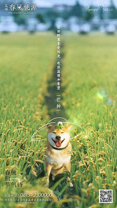 子木与阿雙采集到24节气单图