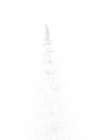_DSC8518