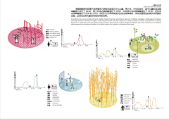 断桥不见残雪痕采集到分析图