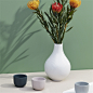 40032149_WedgwoodAmericas_02_white-folia-bulb-vase