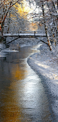 Frozen creek in Sweden (by MaritaToftgard)