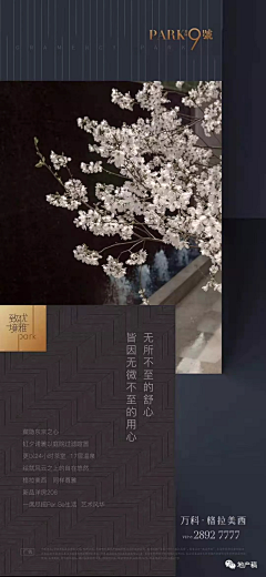 0SVMZuyB采集到万科