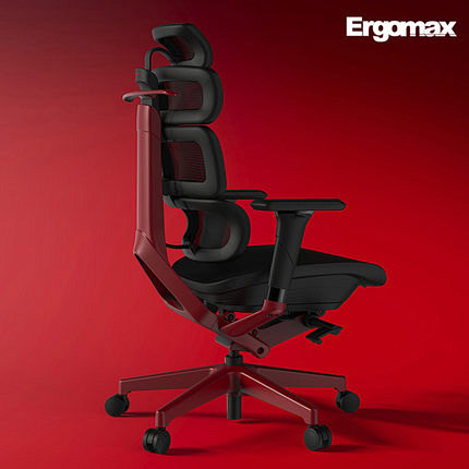 Ergomax Evolution 2p...