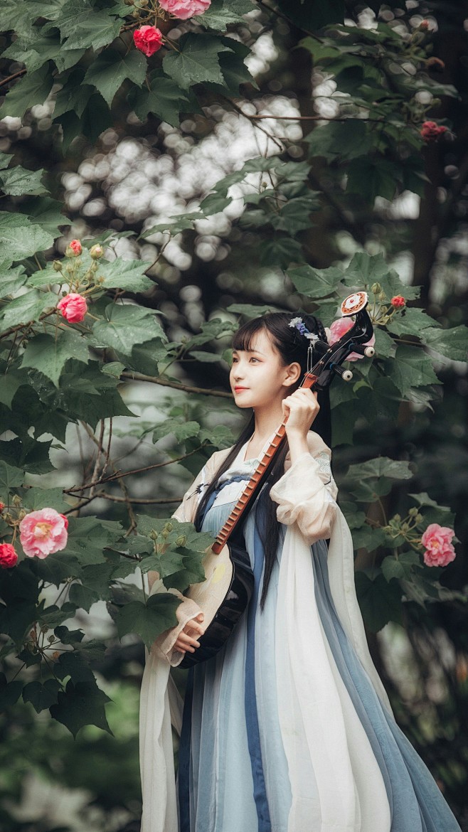 古装美人西陵珧该采集也在以下画板加载更多