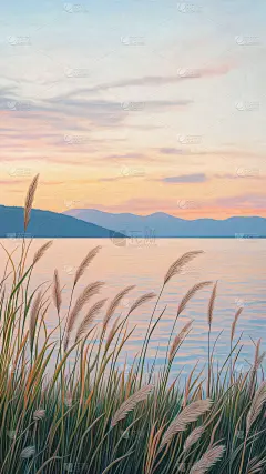 风光系列写实夕阳下水边芦苇背景