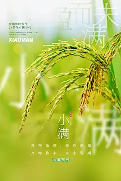 小满节气夏季夏日小麦稻田手机H5宣传海报