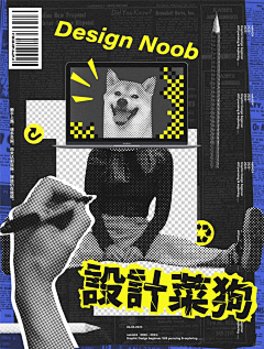 少年初恋她采集到板式设计
