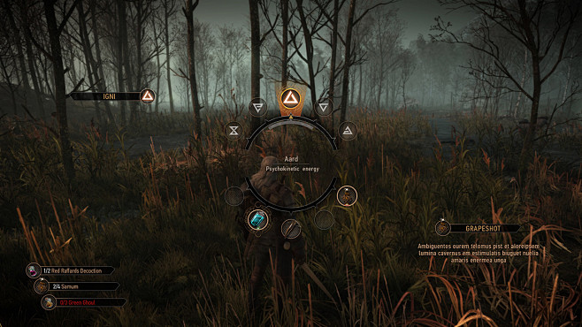 THE WITCHER 3: UI AR...