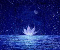   宅在心里の鹿 #壁纸#  