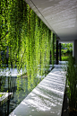 A walkway through hanging gardens