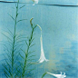 川内伦子（续）_刘仲瑄_新浪博客 : 川内伦子（续）_刘仲瑄_新浪博客_刘仲瑄_新浪博客,刘仲瑄,...