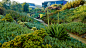 Playa Vista Central Park | OJB Landscape Architecture : Playa Vista Central Park in Los Angeles is a 9-acre park organized into a series of distinct landscape experiences unified by a central spine and linear bands of specimen trees.