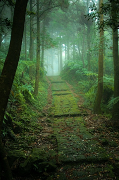 洛羽薇采集到风景