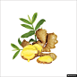 姜模板免扣png