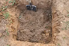 园丁在地上挖了个洞用来种树