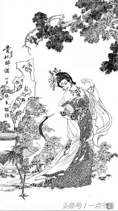 Z_东方米采集到白描
