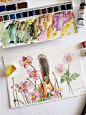 花卉与动物 小松鼠的春天 水彩插画