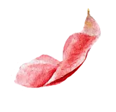 手绘花 蝴蝶 叶子 花环 钻石 花瓣 png素材