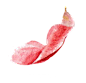 手绘花 蝴蝶 叶子 花环 钻石 花瓣 png素材